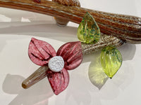 Dogwood Branch