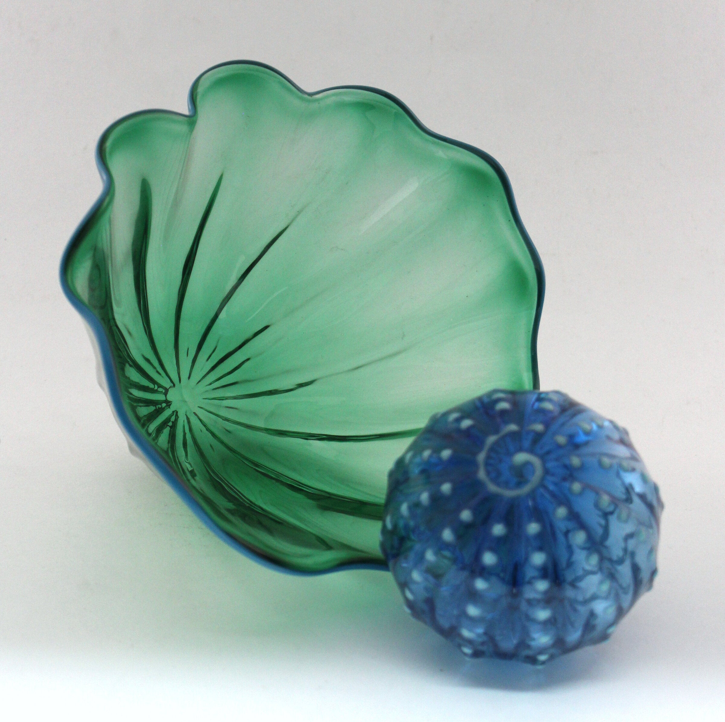 Sea Foam Green Ocean Collection