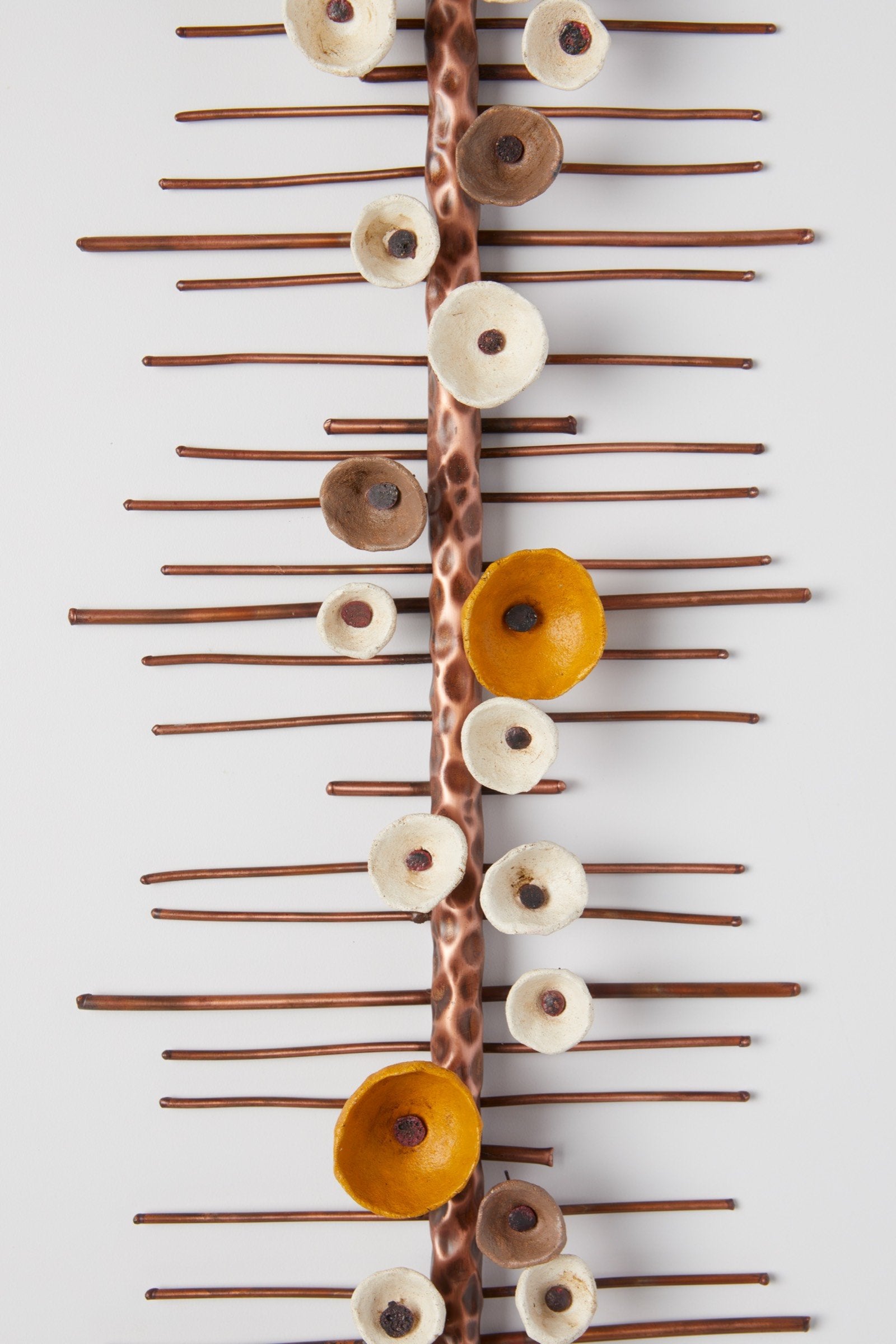 Climbing Blossom Wall Bands