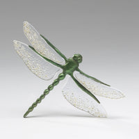 Vibrant Green Dragonfly with Clear Tinted Wings