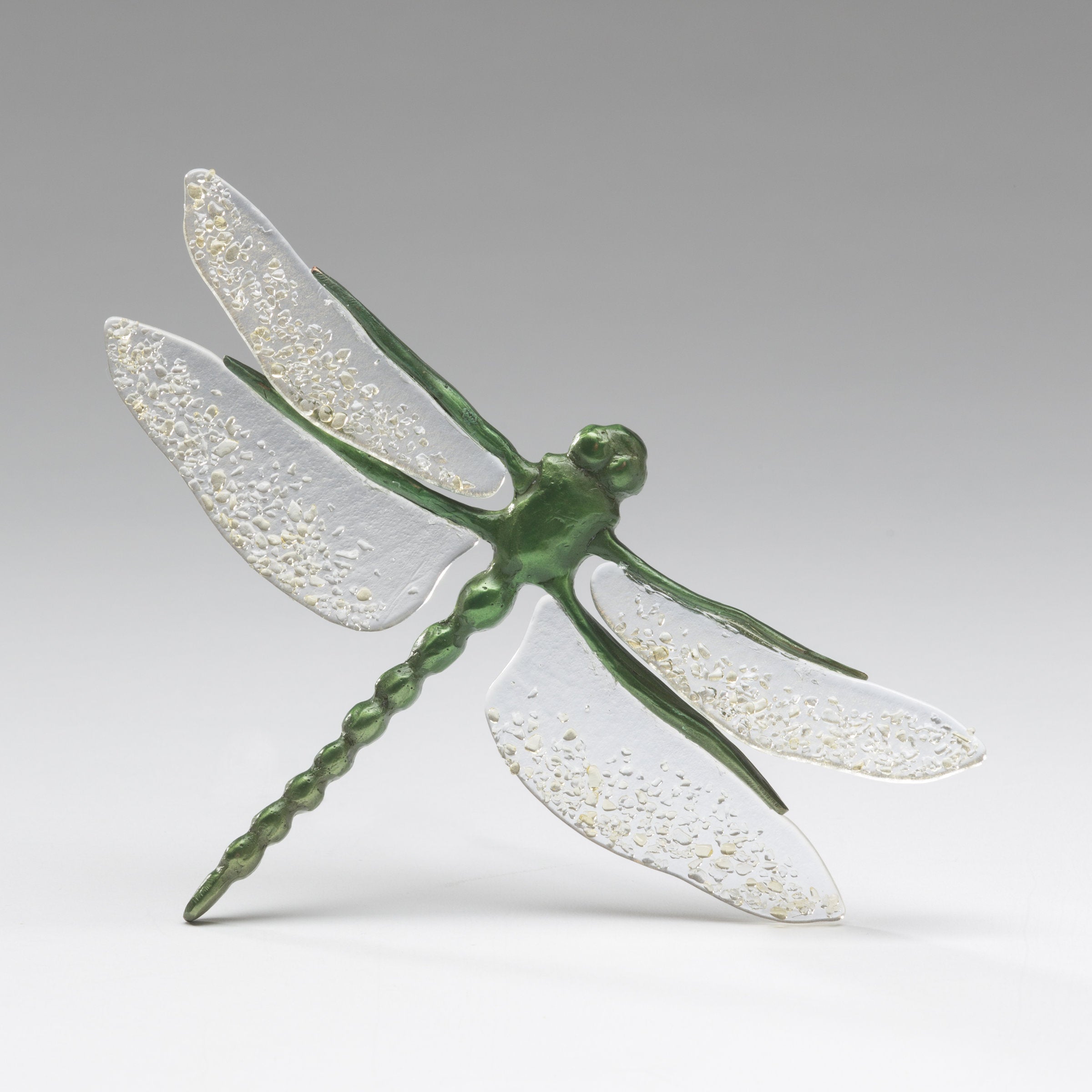 Vibrant Green Dragonfly with Clear Tinted Wings