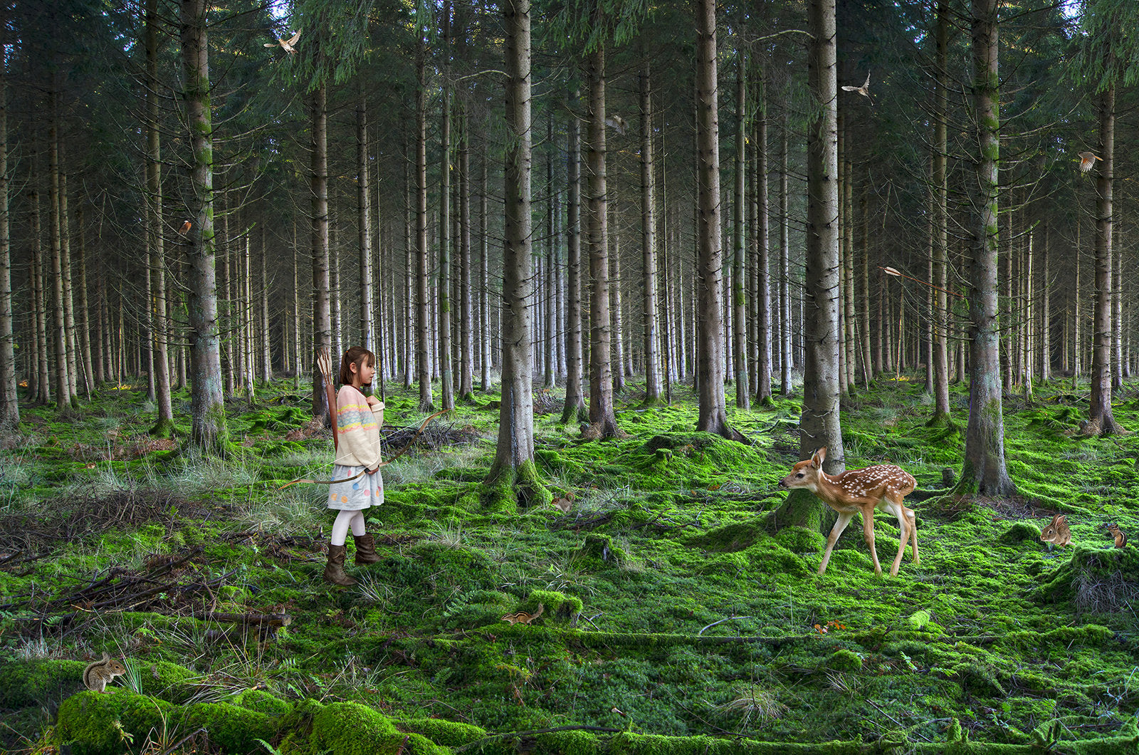 Wildlife