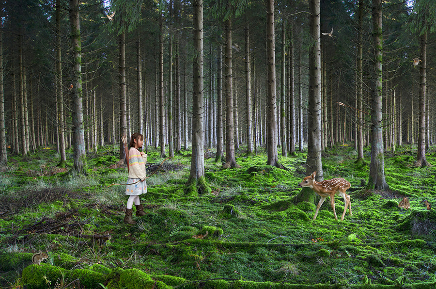 Wildlife