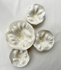Laguna Series in Ivory, Set of Four