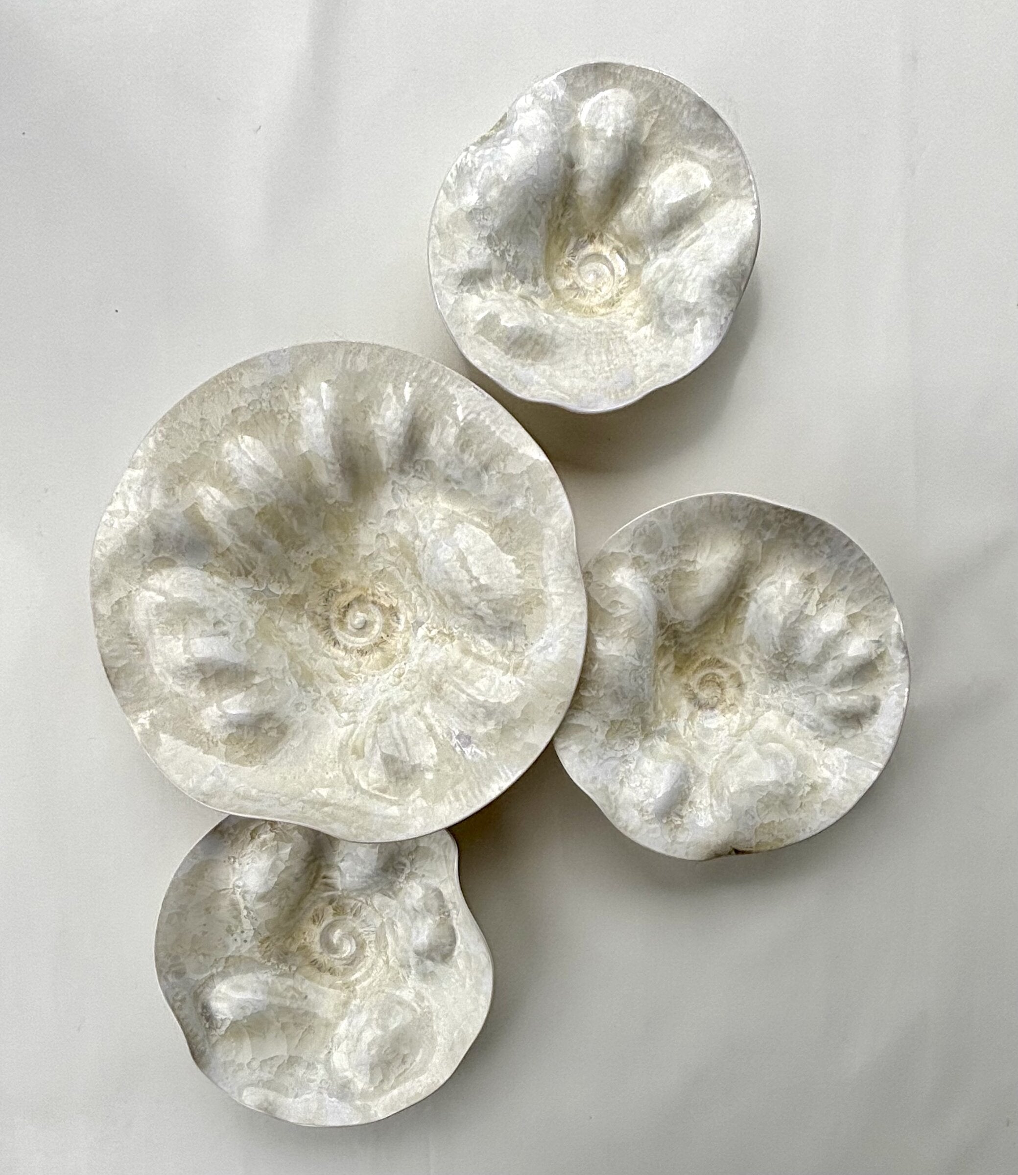 Laguna Series in Ivory, Set of Four