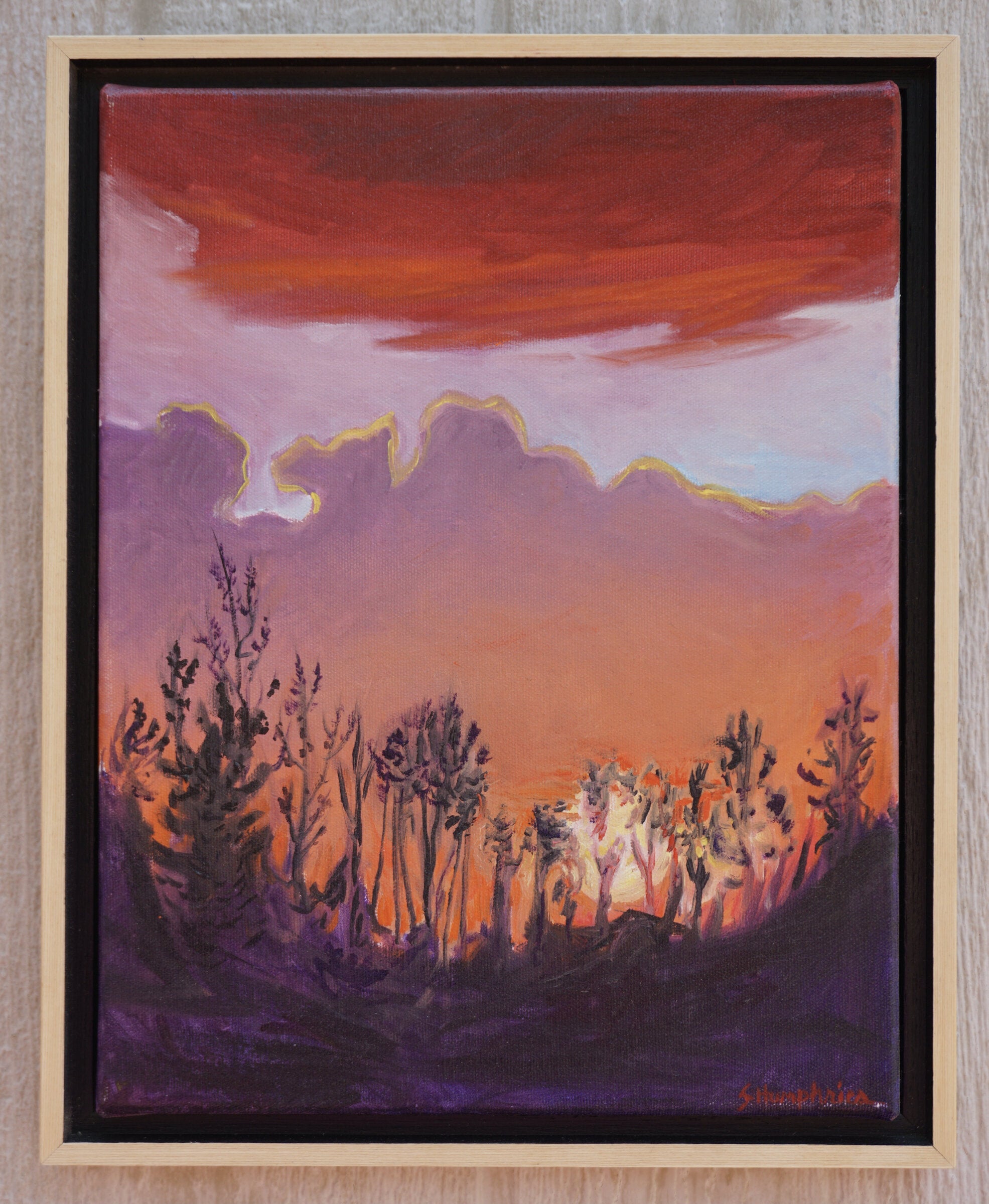 Sunset with Trees