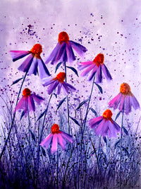 Purple Daisies