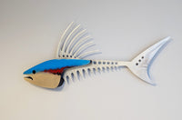 Wild Roosterfish II