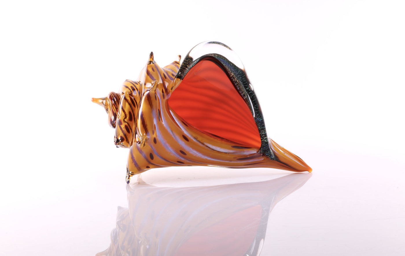The Beach, Conch Shell
