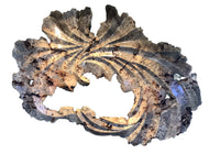 Headdress Buckeye Burl Wall Sculpture