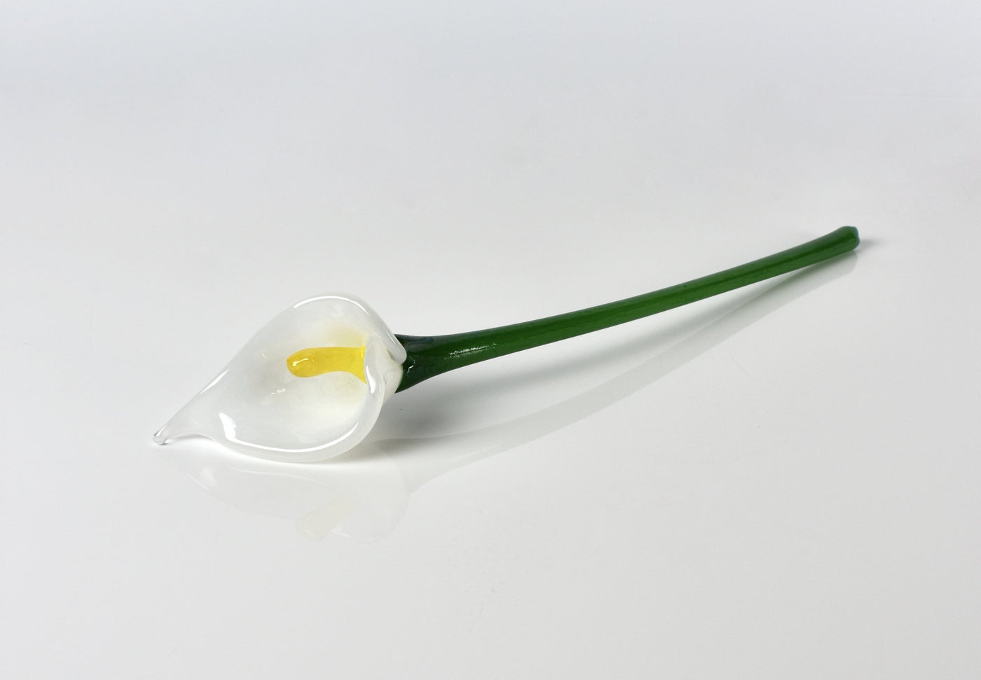 Calla Lily