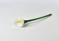 Calla Lily