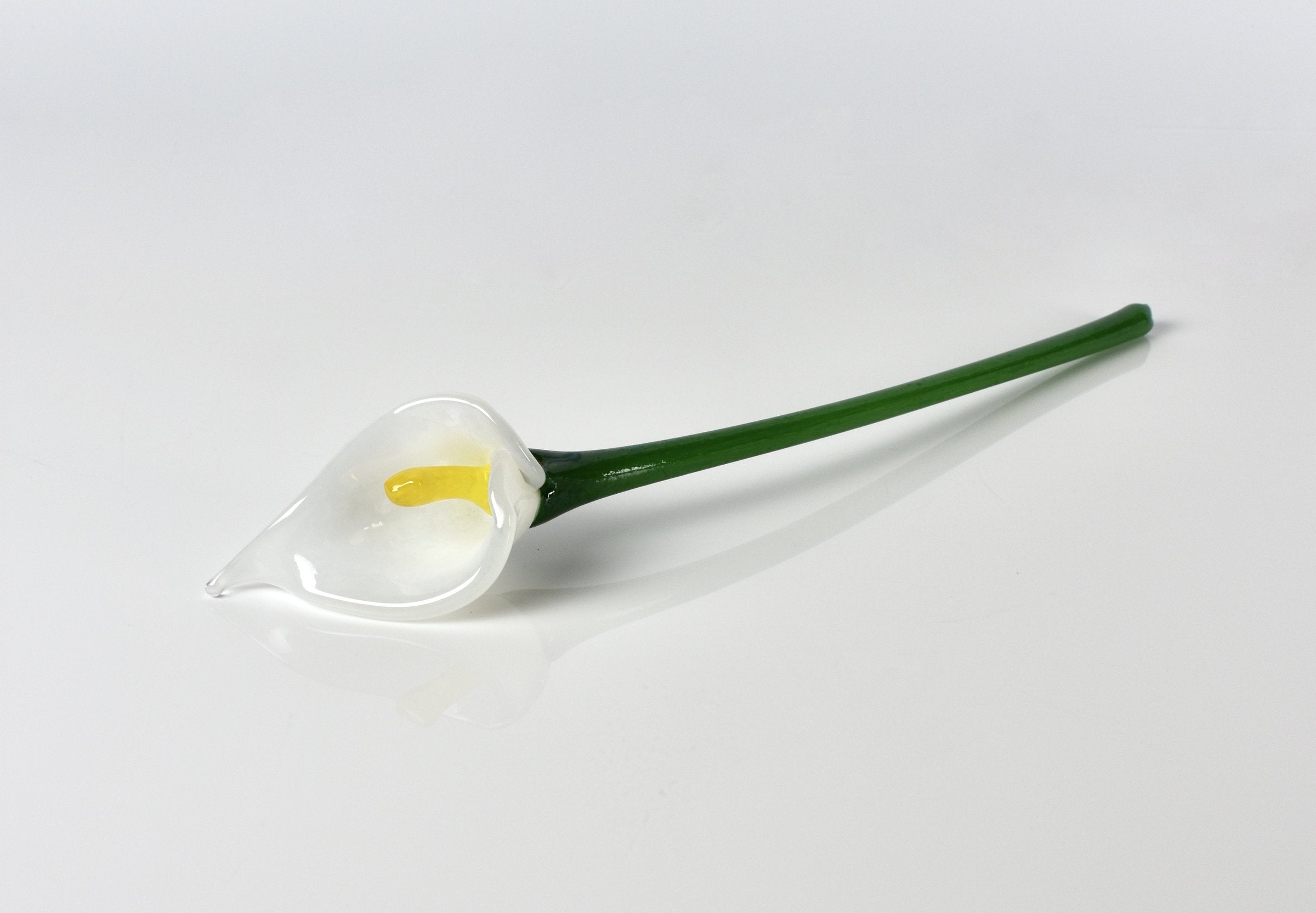 Calla Lily