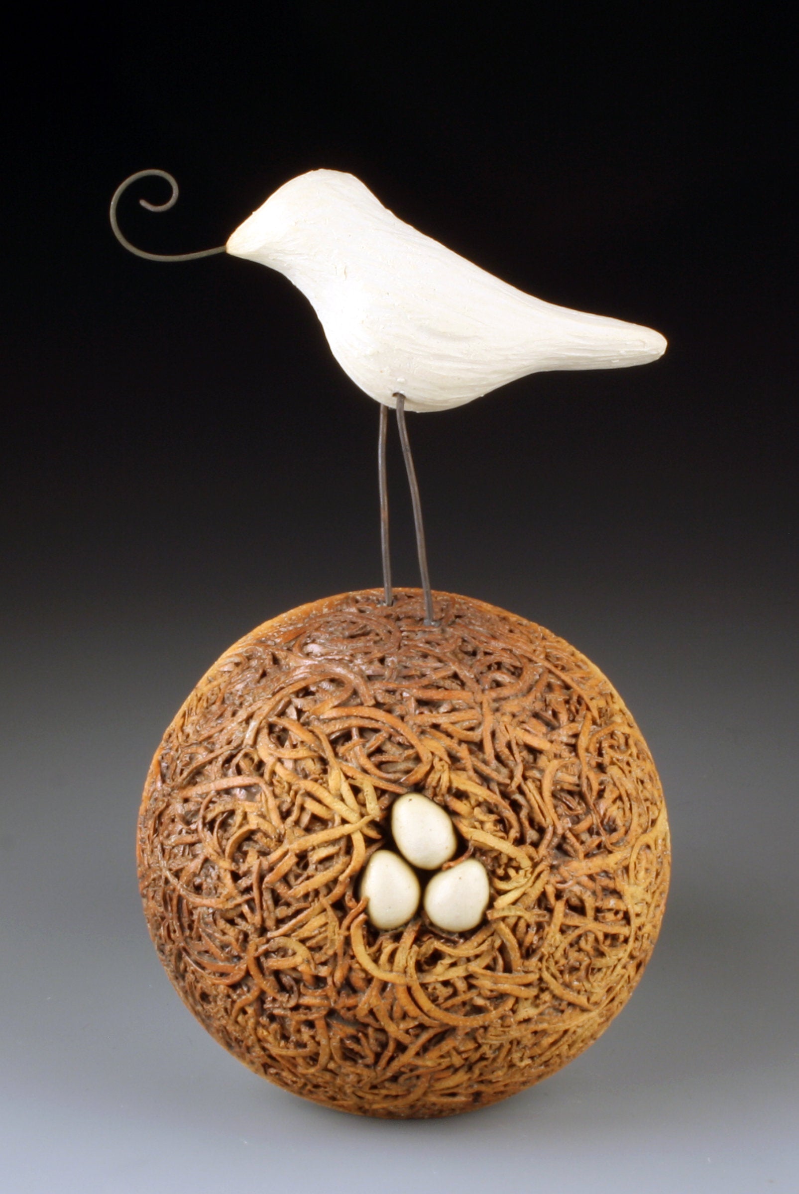 Nest with Song Bird