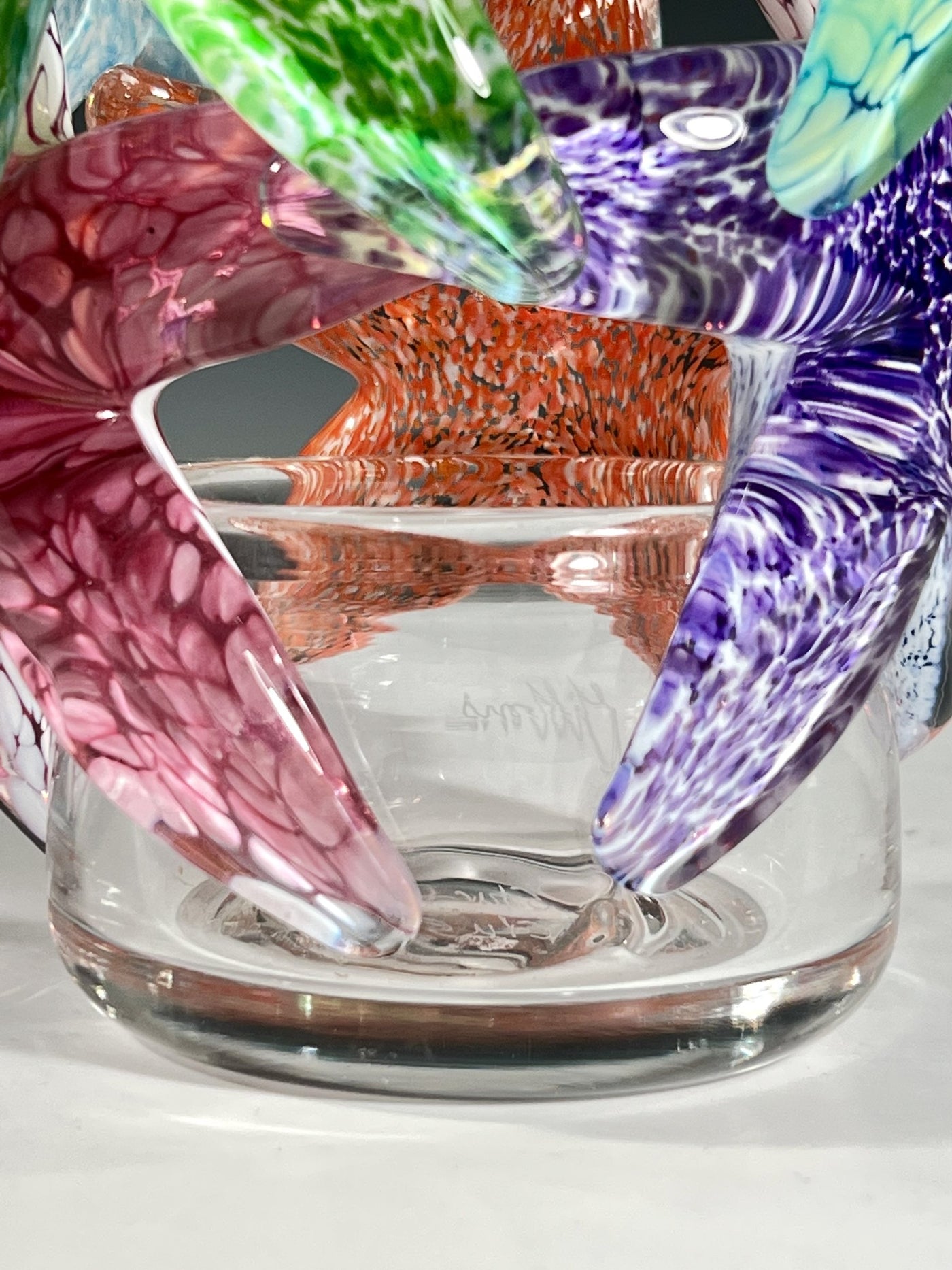 Starfish Cluster III