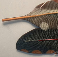 East and West Feathers