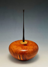 Lidded Madrone Burl