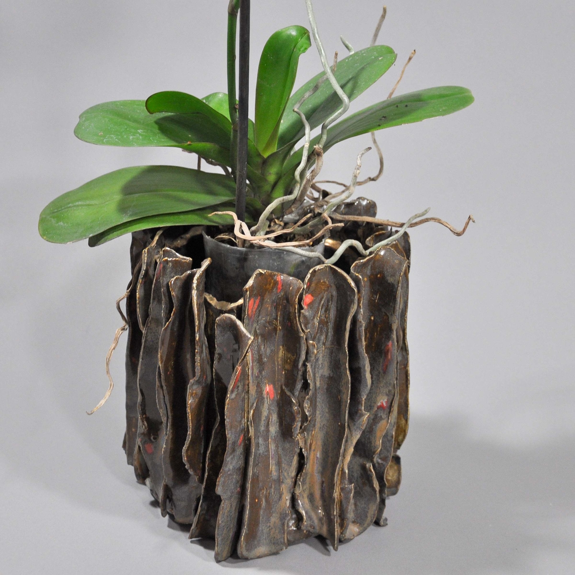 Bronze Metallic Glazed Orchid Pot With Gold Accents