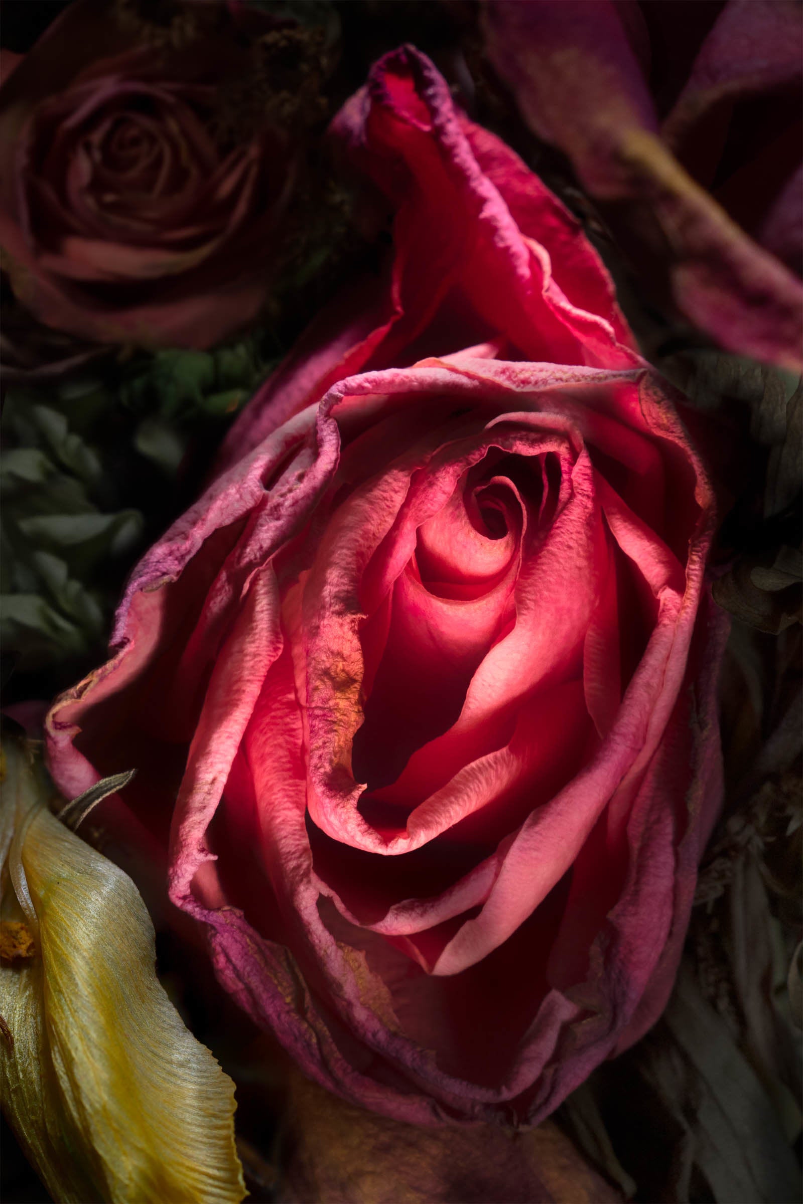 Flower II