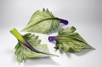 Green and Amethyst Arbor Group