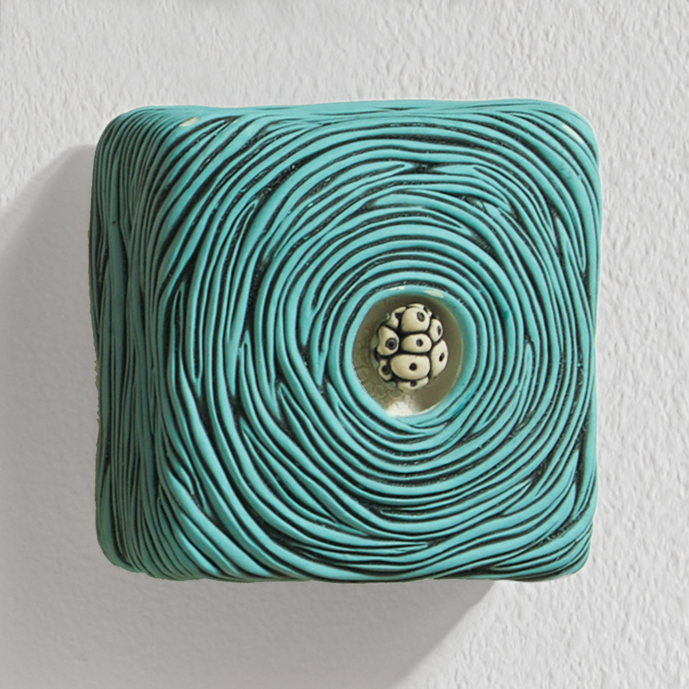 Aqua Nest