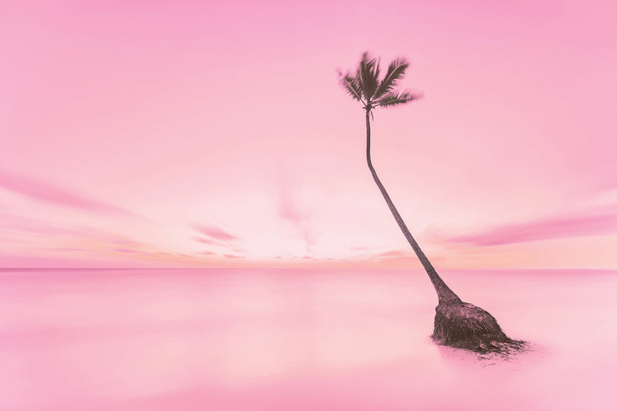Bavaro Dreams