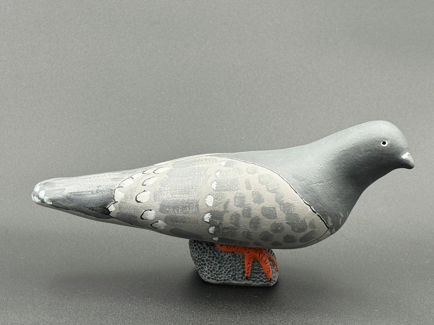 Pigeon, Looking Right