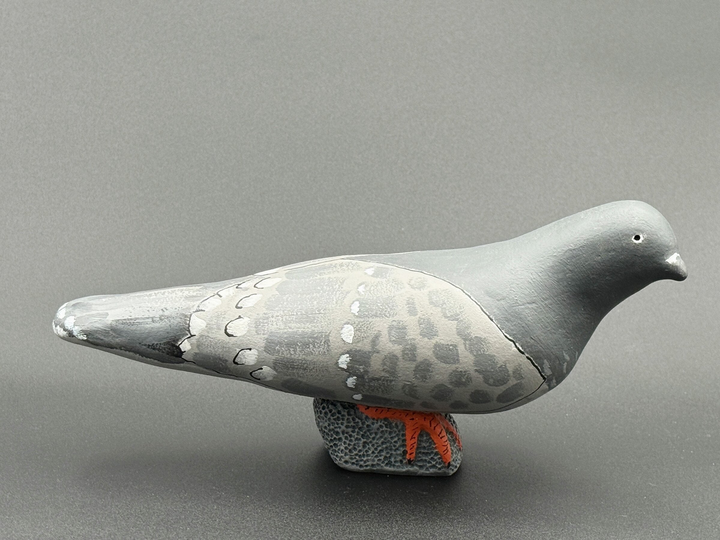 Pigeon, Looking Right