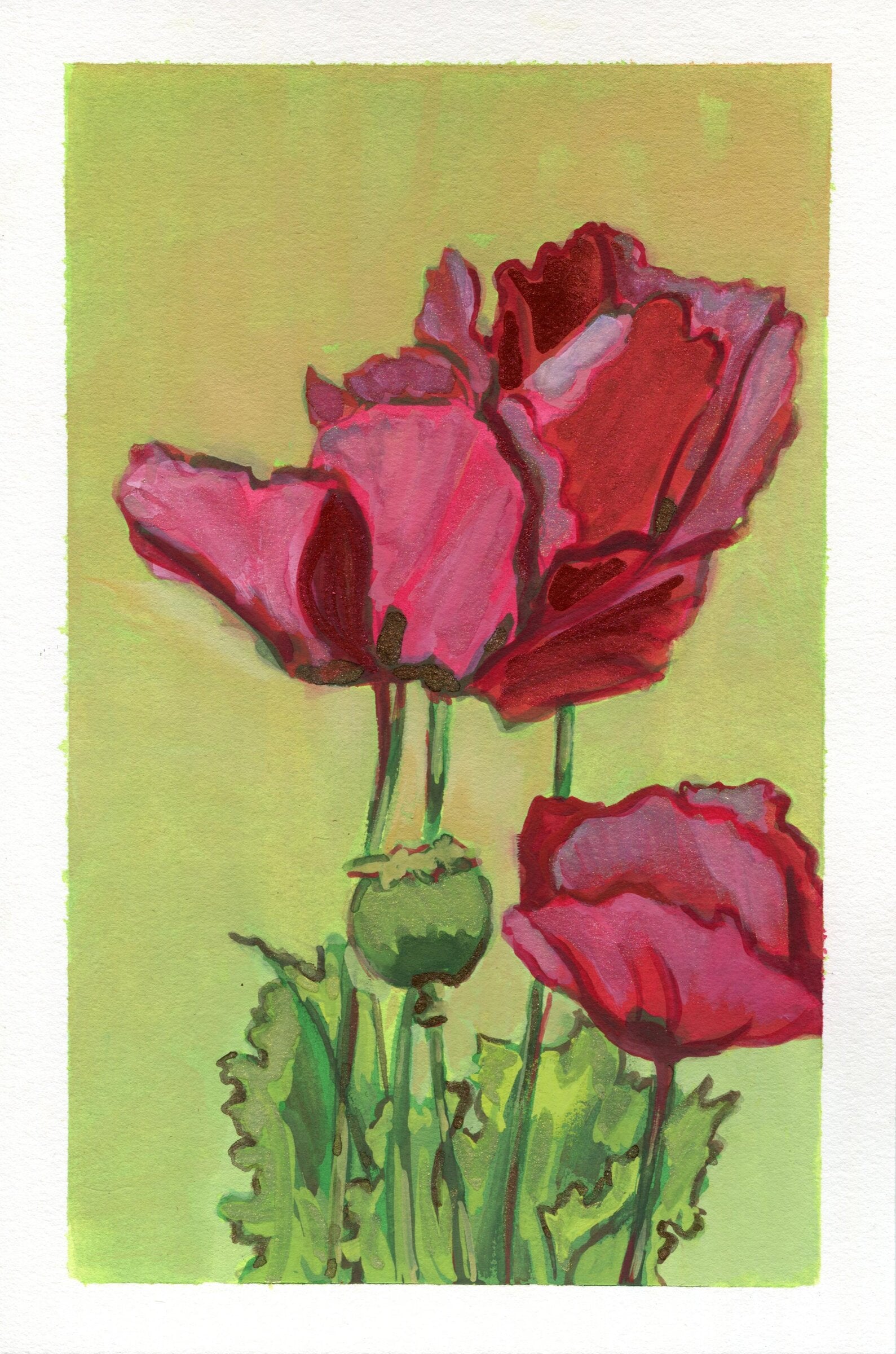 Poppy Layer I