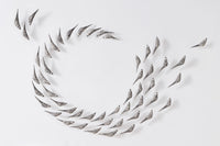 Set of 50 Birds in Flight