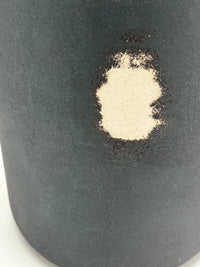 Black Spotted Bottle