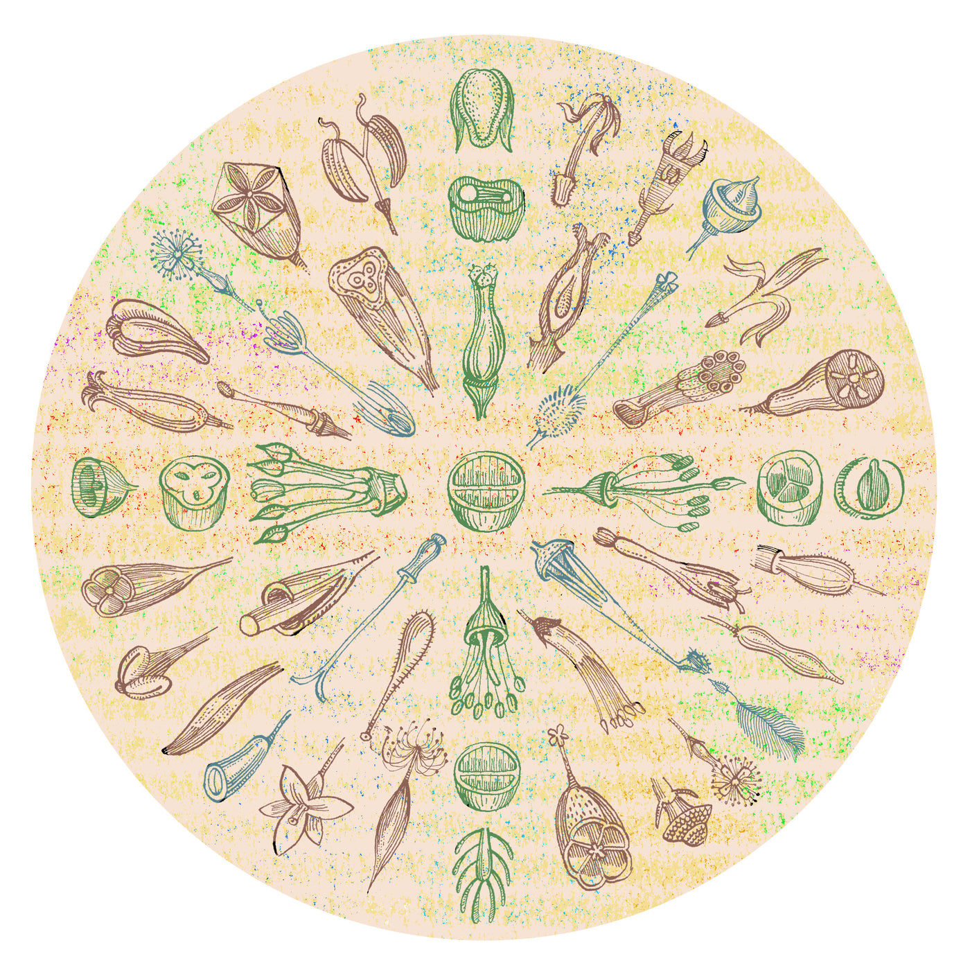 Seed Mandala II