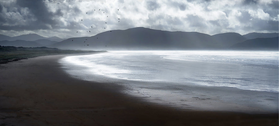 Coasts of Ireland No. 2 - Inch Beach