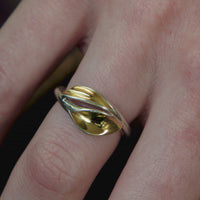Two Leaves Ring