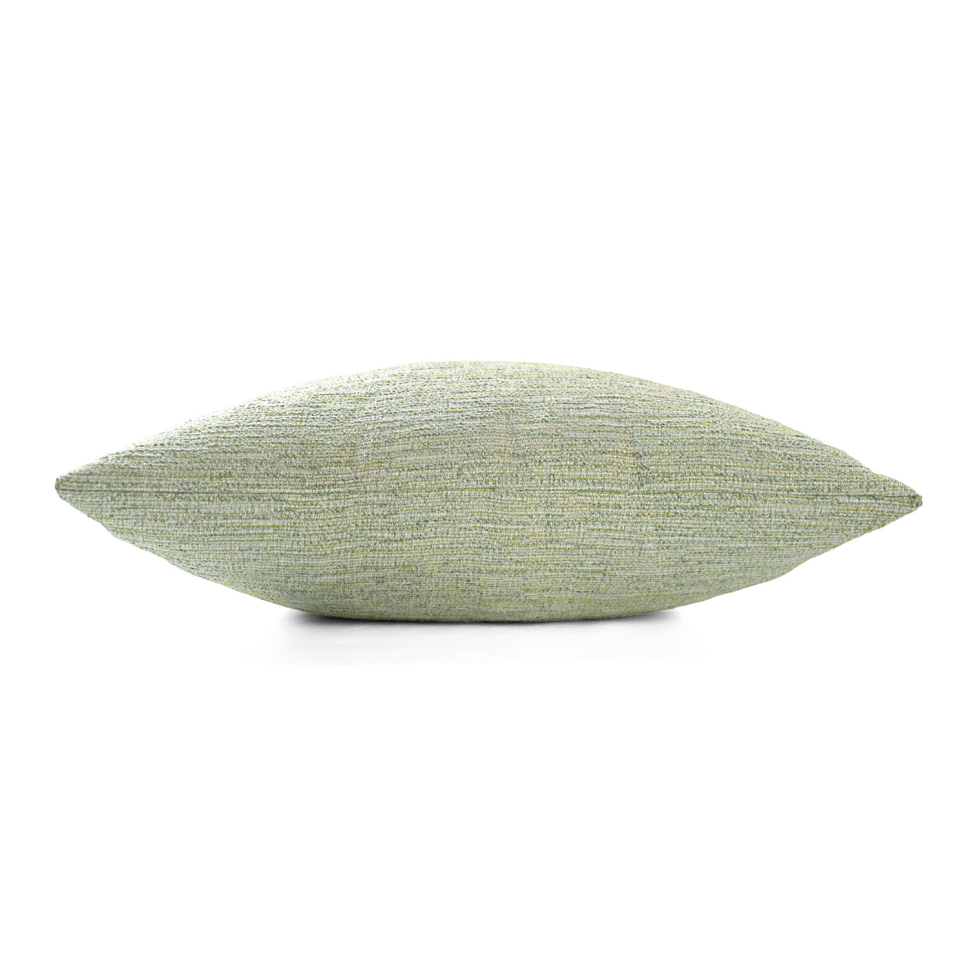 Large Avocado