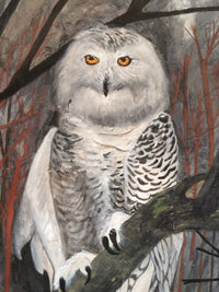 Snowy Owl in the Maine Woods