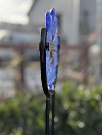 Corn Flower