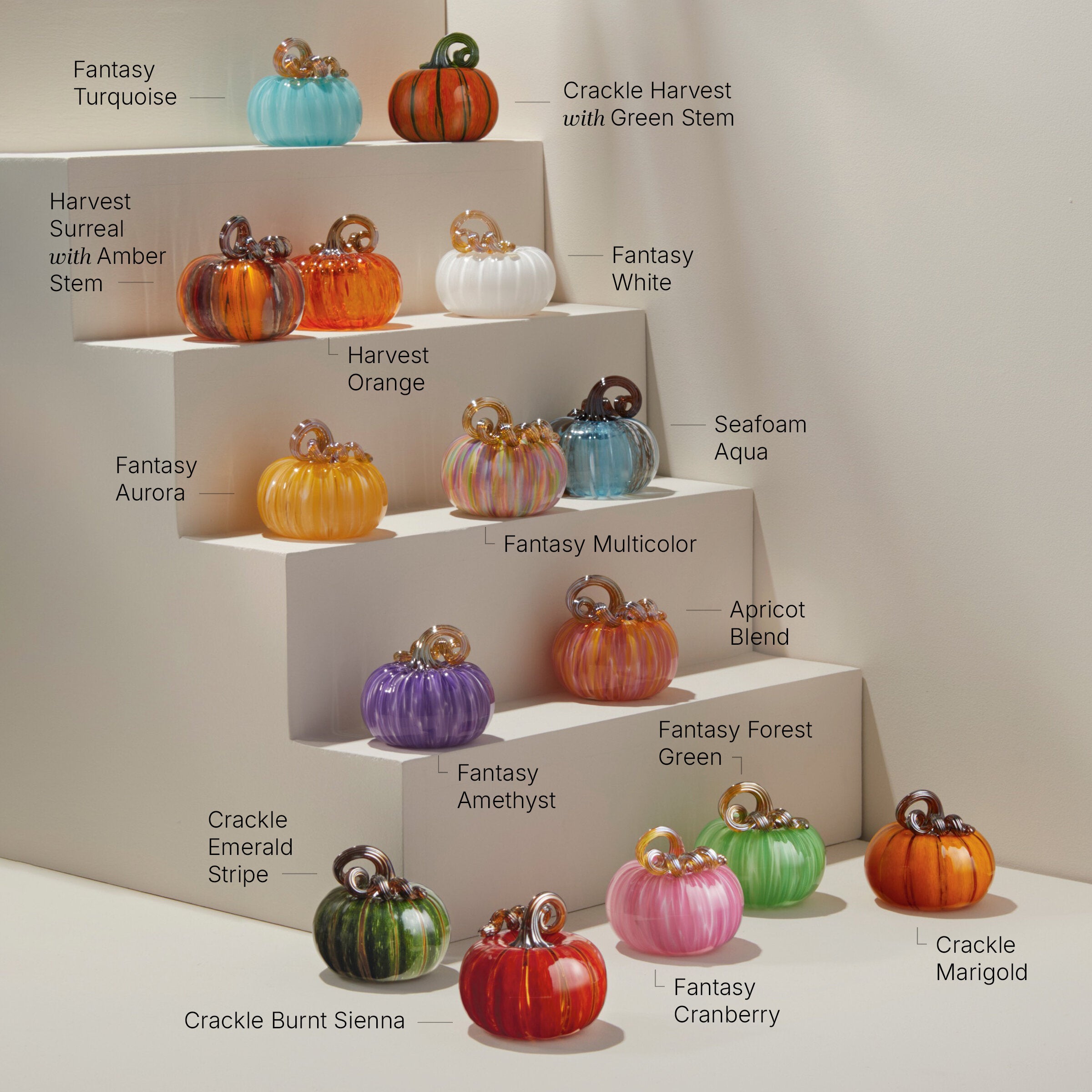 Mini Pumpkins