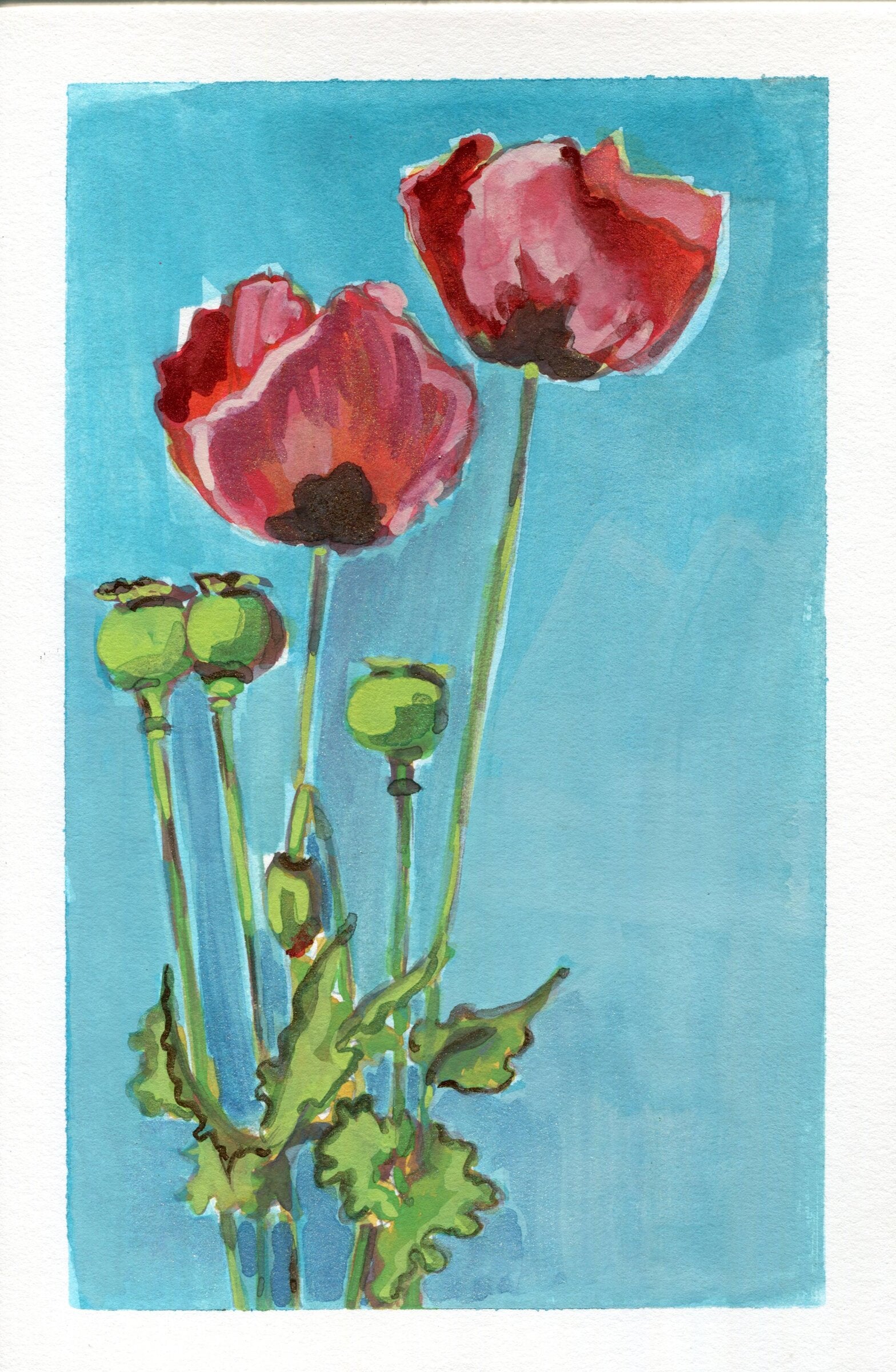 Poppy Layer IV