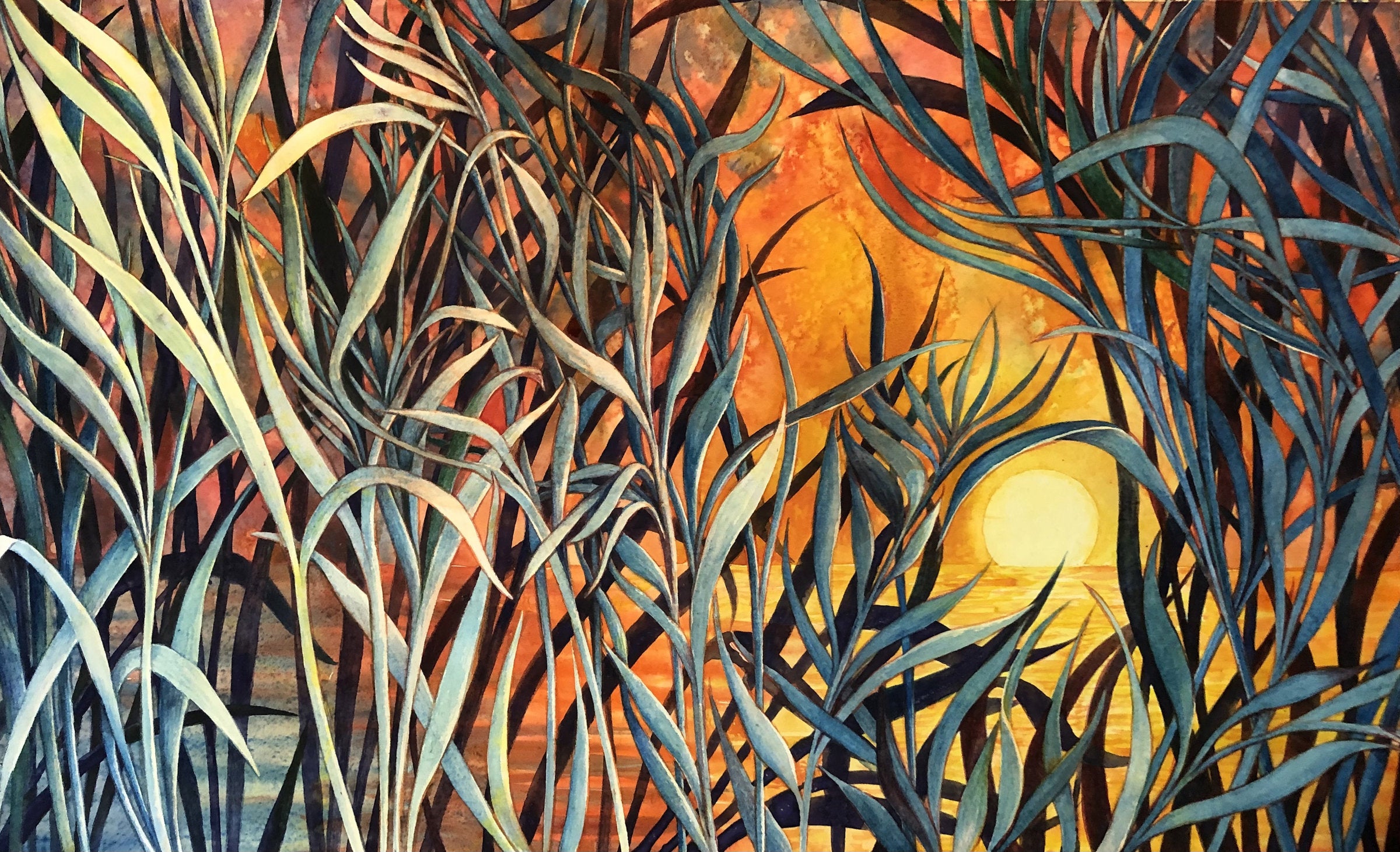Sunrise Grasses