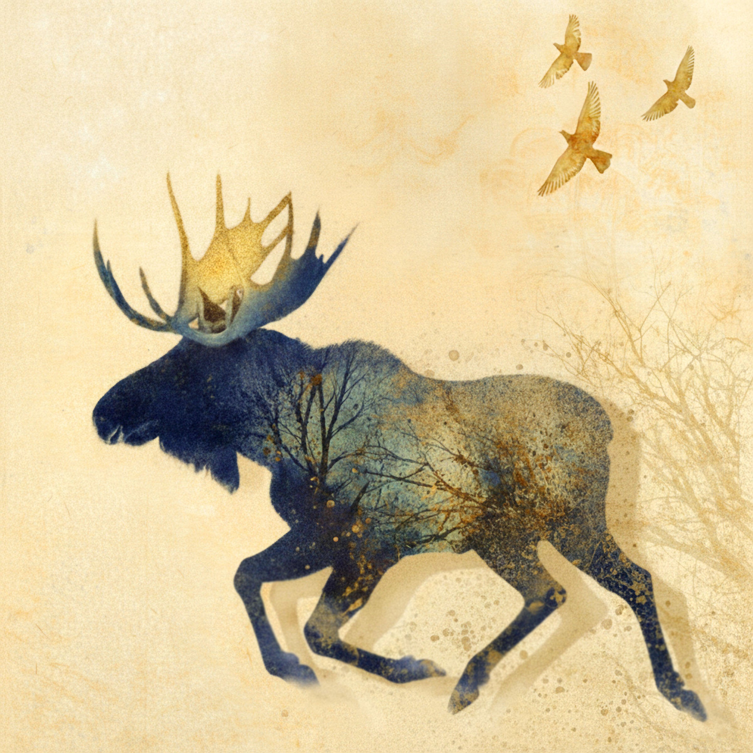 Magical Forest (Wild Mind)