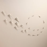 Paper Airplanes