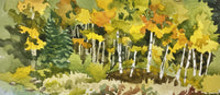 Aspens in Autumn