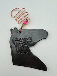 Lilia Venier's Wild West Collection