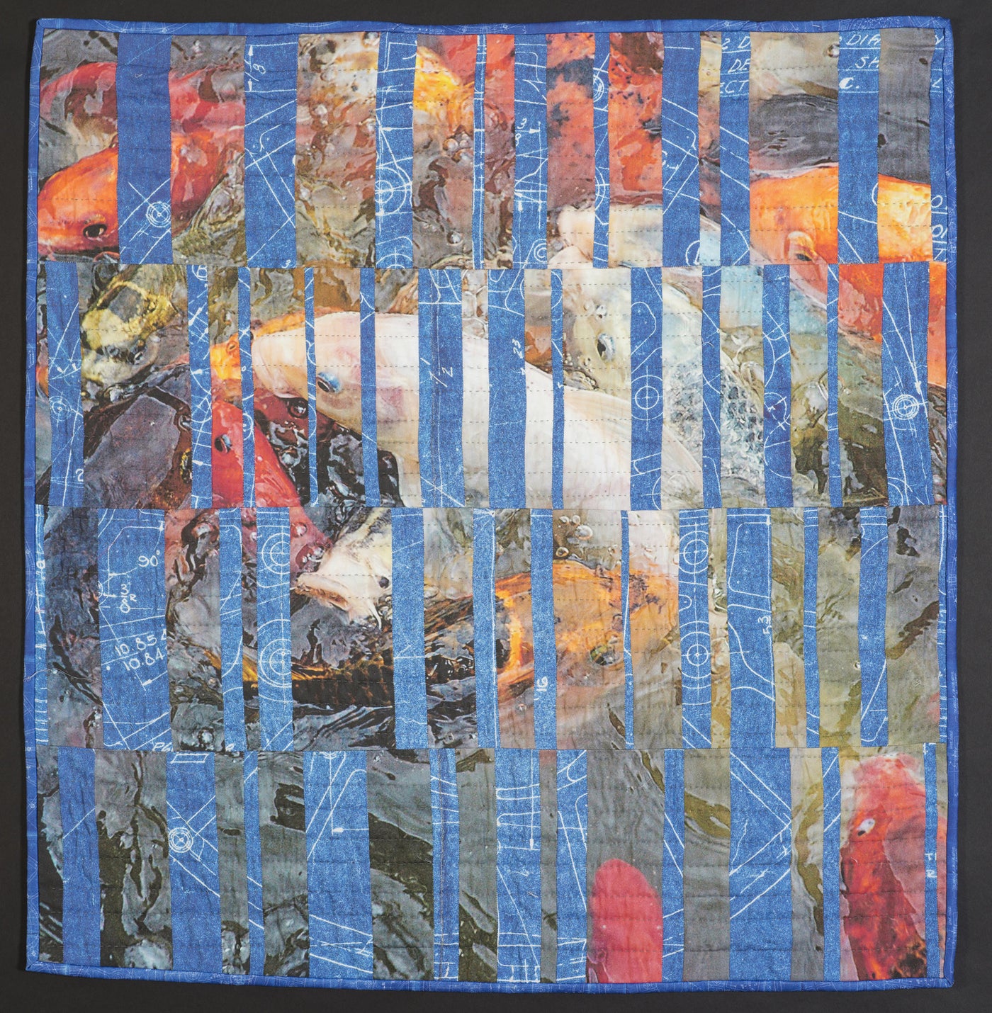 Koi and Blue Bars