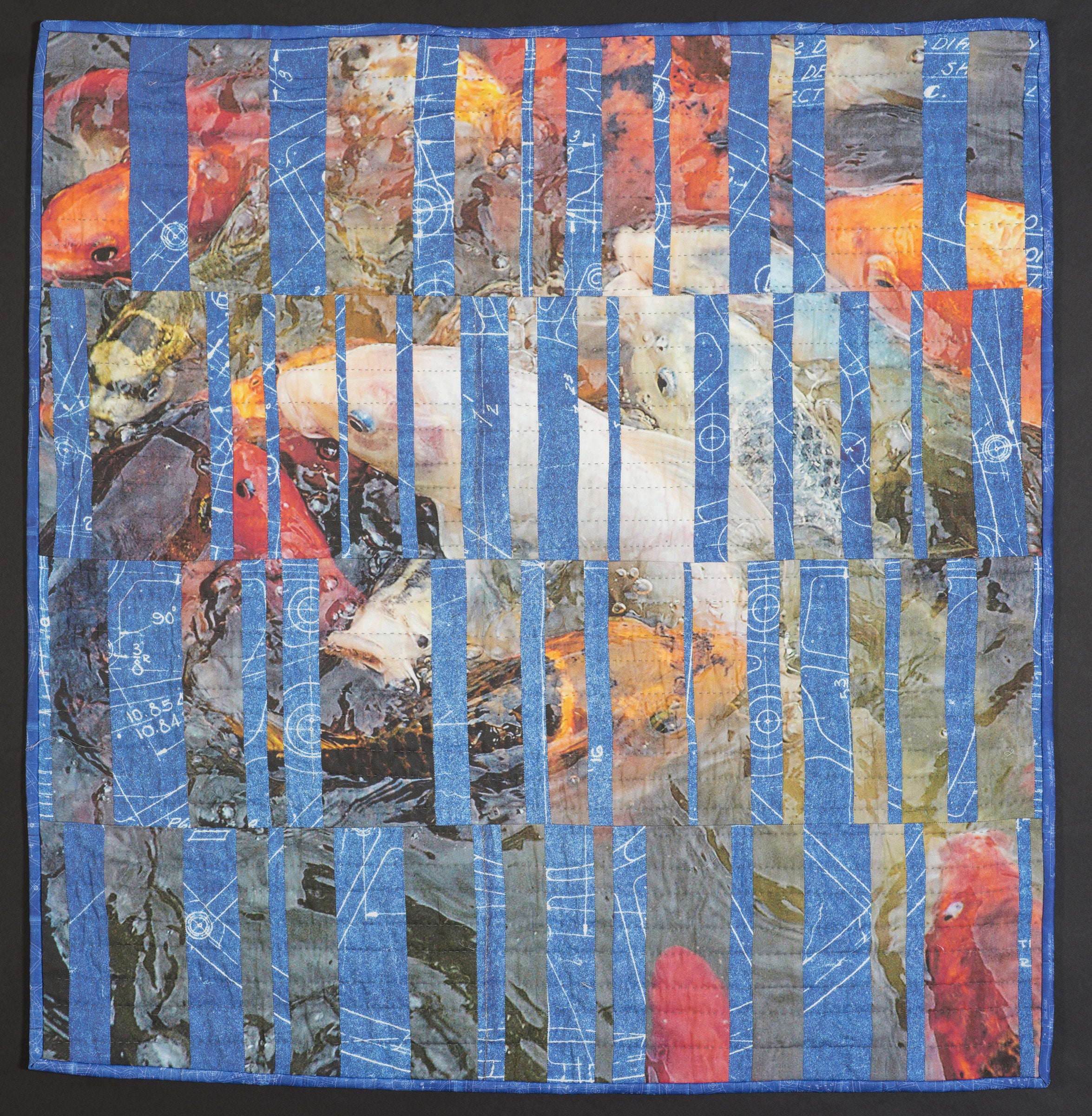 Koi and Blue Bars