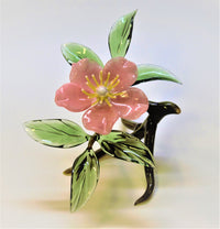 Pink Cherokee Rose