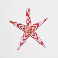 Festive Starfish
