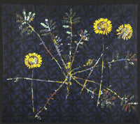 Anthemis Tinctoria