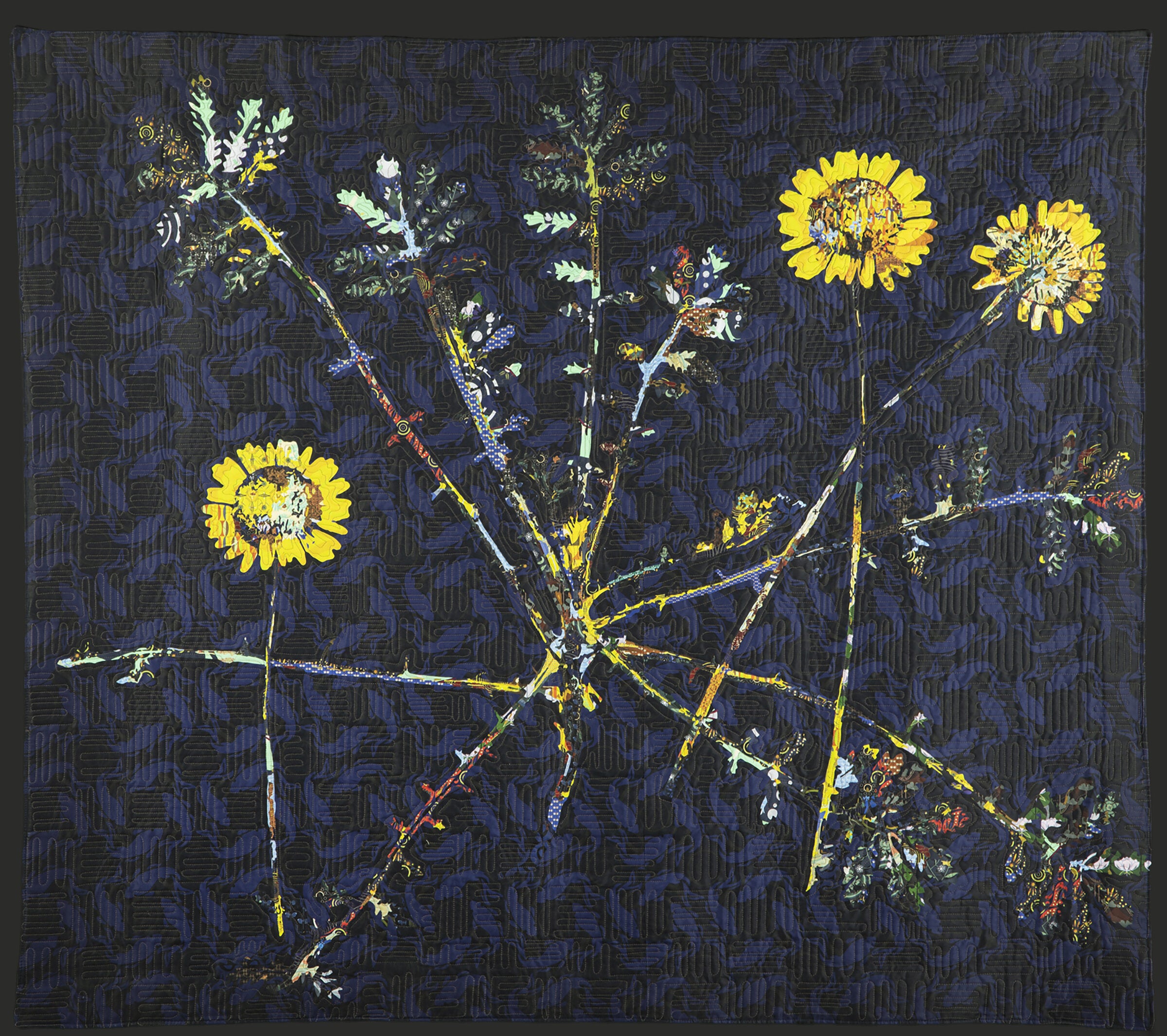 Anthemis Tinctoria